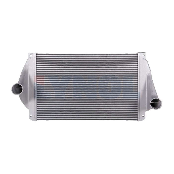 2013 Freightliner Cascadia DD13 12.8L Charge Air Cooler (Intercooler) | LR2400-019